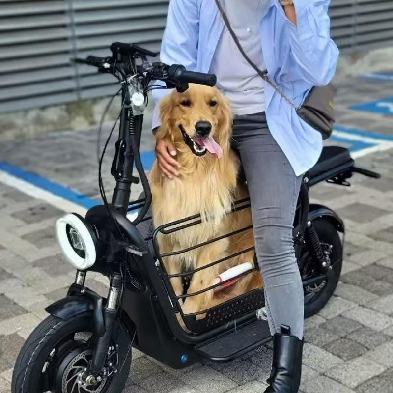 α 限定値下げ　超極太　ファットウッド　肥松 α 限定値下げ 超極太 ファットウッド 肥松